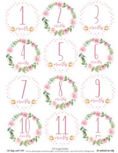 Little Pumpkin Pink Month Circles *NOT EDITABLE: Little Pumpkin Birthday Pink Set