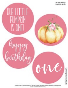 Little Pumpkin Pink Watercolor 4" Centerpieces: Little Pumpkin Birthday Pink Set