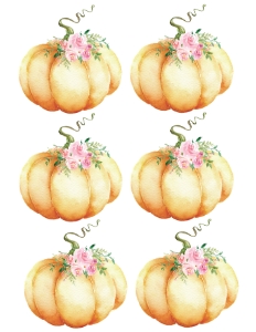Little Pumpkin Pink Watercolor Cutouts *NOT EDITABLE: Little Pumpkin Birthday Pink Set