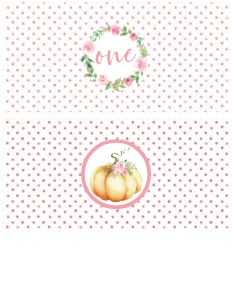Little Pumpkin Pink Watercolor Juice Wraps: Little Pumpkin Birthday Pink Set