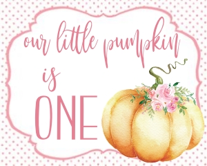 Little Pumpkin Birthday Pink Signs design preview