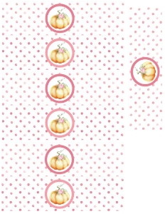 Little Pumpkin Pink Watercolor Napkin/Bubble Warps *NOT EDITABLE: Little Pumpkin Birthday Pink Set