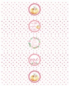 Little Pumpkin Pink Watercolor Water Labels: Little Pumpkin Birthday Pink Set