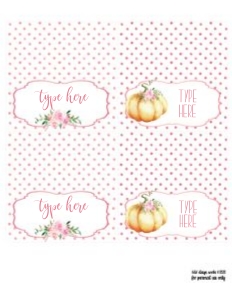 Little Pumpkin Pink Watercolor Food Labels: Little Pumpkin Birthday Pink Set