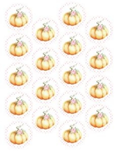 Little Pumpkin Pink Watercolor Envelope Seals: Little Pumpkin Birthday Pink Set