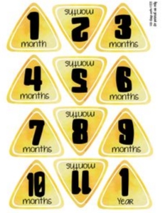 Construction Month/Year Circles *NOT EDITABLE: Construction Party Set