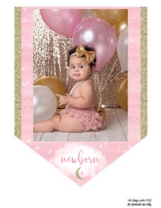 Twinkle Twinkle Photo Banner: Twinkle Twinkle Birthday Set