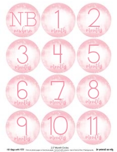 Twinkle Twinkle Month Circles *NOT EDITABLE: Twinkle Twinkle Birthday Set