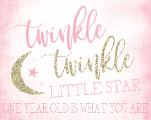 Twinkle Twinkle Signs 2 Birthday: Twinkle Twinkle Birthday Set