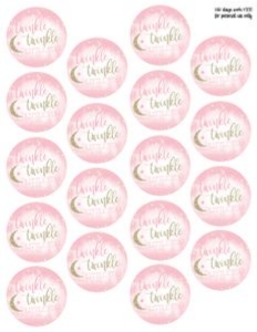 Twinkle Twinkle Envelope Seals: Twinkle Twinkle Birthday Set