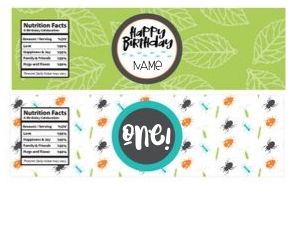 Bug Pringle Can design preview