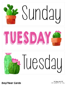 Cactus Classroom Day Labels: Cactus Classroom Set