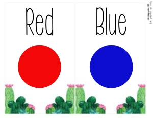 Cactus Classroom Color Cards: Cactus Classroom Set
