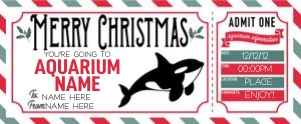Christmas Voucher Aquarium 1: Christmas Voucher Aquarium 1