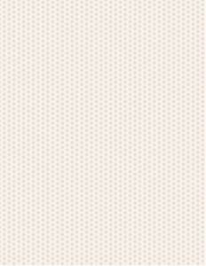 Camping Classroom Papers: Camping Classroom Set