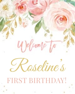 Floral Blush Birthday Welcome sign: Floral Blush Party Package