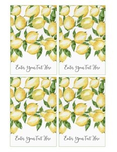 Lemon food label design preview