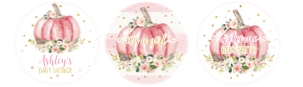 Pumpkin baby shower cupcake toppers 2: Pumpkin baby shower cupcake toppers 2
