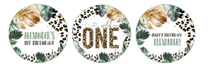 LE001 - Leopard print cupcake toppers: LE001 - Leopard print party package
