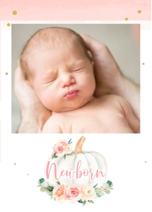 Pump1 - Pumpkin Birthday monthly photo banner 5x7 design preview