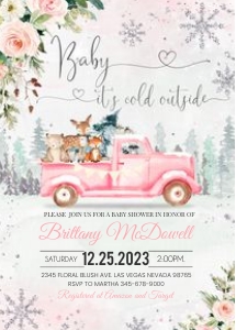 WW004 - Winter woodland baby shower: WW004 - Winter woodland baby shower