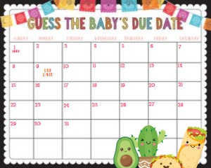 Fiesta Guess The Baby's Due Date: Fiesta Guess the Baby's Due Date