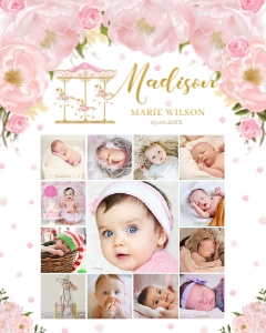 Blush Floral Carousel Baby's First Year Photo Collage 16"x20": Blush Floral Carousel Baby's First Year Photo Collage 16"x20"
