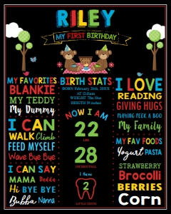 Teddy Bear Picnic 1st Birthday Milestone Sign 16"x20": Teddy Bear Picnic 1st Birthday Milestone Sign 16"x20"