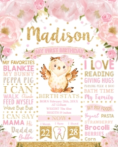 Blush Floral Owl 1st Birthday Milestone Sign 16"x20" design preview