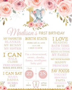 Blush Pink Floral Elephant 1st Birthday Milestone Sign - PK2 design preview