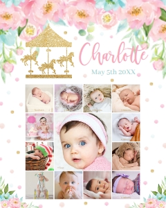 CR2 Carousel Pink and Mint Floral Baby's First Year Photo Collage 16"x20" design preview
