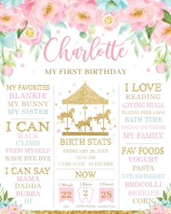CR2 Carousel Pink and Mint Floral 1st Birthday Milestone Sign 16"x20" design preview