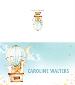 Hot Air Balloon Cute Animals Place Card 3.5"x2" design preview
