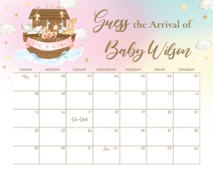 Noah's Ark Rainbow Pink Guess Baby Due Date Calendar 16"x20" design preview