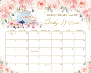 Blush Pink Floral Tea Party Guess Baby Due Date Calendar Game 16"x20" design preview