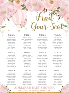 Hot Air Balloon Pink Floral Seating Chart 18"x24" design preview