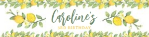 Lemonade Sunshine Water Bottle Labels - www.printerfairy.com design preview