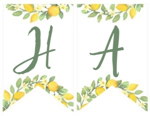 Lemonade Sunshine Birthday Banner - www.printerfairy.com design preview