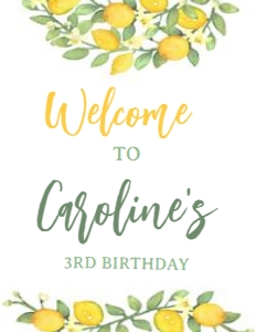 Lemonade Sunshine Welcome Sign - www.printerfairy.com design preview