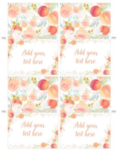 Peach Food Tents - www.printerfairy.com design preview