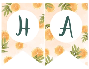 Orange Happy Birthday Banner (Orange) - www.printerfairy.com design preview