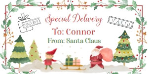 Santa's Mailing Address Label (red, green) - www.printerfairy.com design preview