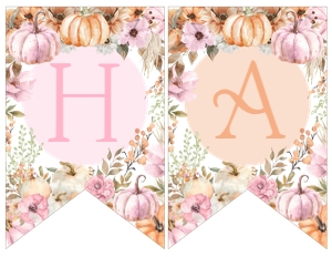 Little Pumpkin Girl Birthday Banner (pink, orange) - www.printerfairy.com design preview