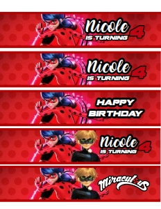 Miraculous Water Bottle 6 design preview
