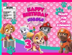Paw Patrol Chip Bag 10: Paw Patrol Chip Bag 10