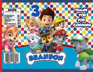 Paw Patrol Chip Bag 2: Paw Patrol Chip Bag 2