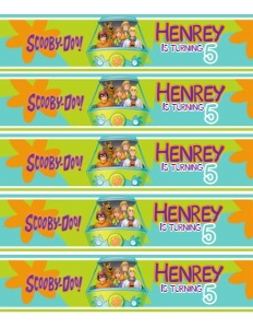 Scooby Doo Water 1: Scooby Doo Bundle 4_1