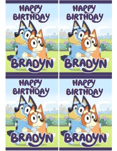 Bluey Caprisun 115 design preview