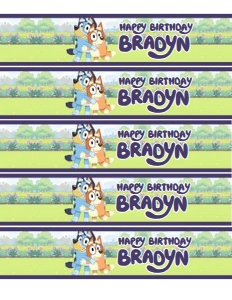 Bluey water 115: Bluey water 115