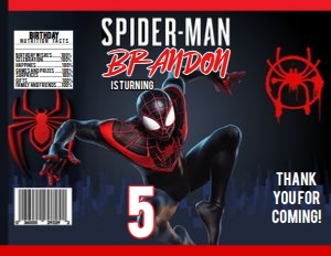 Spiderman Miles Morales Chip Bag 113: Spiderman Miles Morales Chip Bag 113